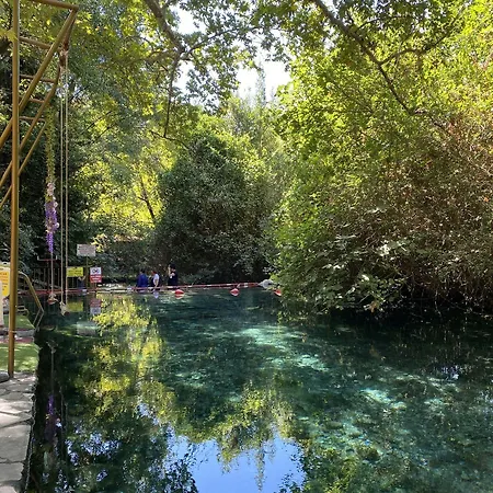 Hotel Yuvarlakcay Cinar Butik Koycegiz (Mugla)