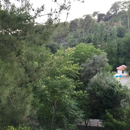 Otel Yuvarlakcay Cinar Butik