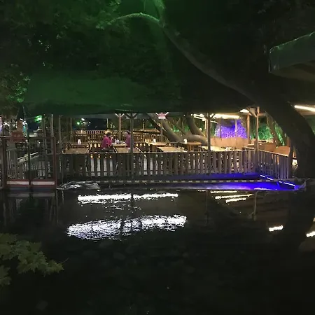 Yuvarlakcay Cinar Butik Otel Köyceğiz